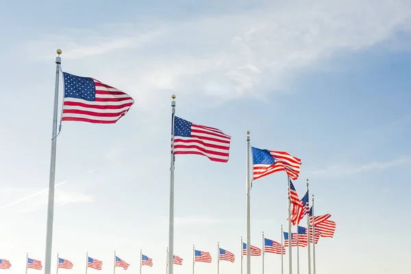 Bandeiras americanas em Washington DC — Fotografia de Stock