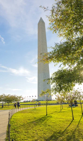 Monumento a George Washington con árboles — Foto de Stock