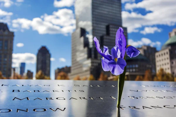 Flower at the 911 memorial world trade center — Stock Photo, Image