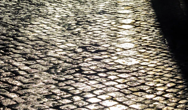 sunlight on wet cobblestone road in the morning