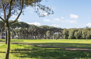 templos en chiang mai