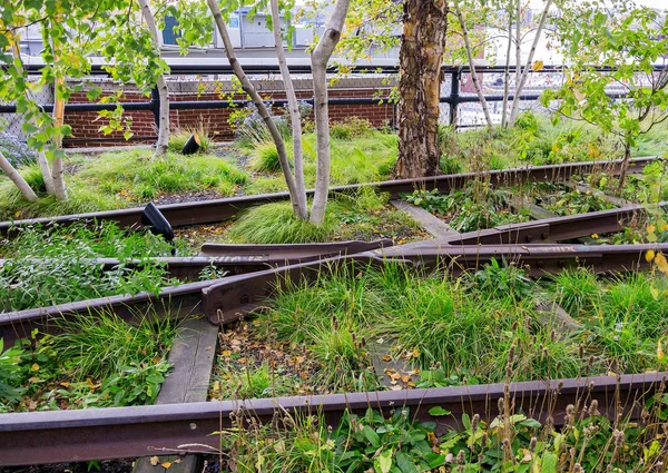 railways covered with grass and flowers