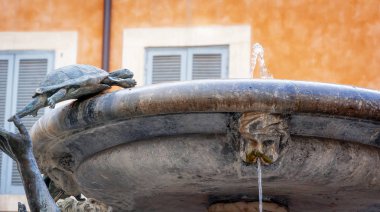Ünlü Fontana delle Tartarughe (kaplumbağa memba detay
