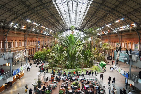 Botanik bahçe içinde Atocha tren istasyonu Madrid, İspanya — Stok fotoğraf