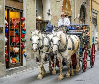 iki Percheron at Floransa, İtalya tarafından çizilmiş taşıma