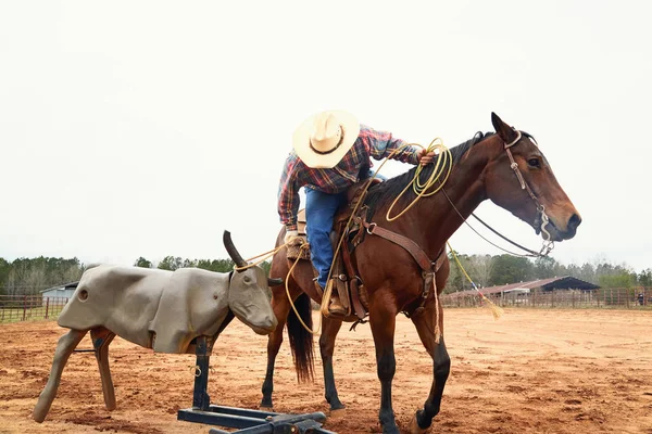 Cowboy riding horse, throwing lasso and training on bull simulator — Stock Photo, Image