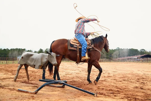 Cowboy Ridning häst, kasta lasso och utbildning på bull simulator — Stockfoto