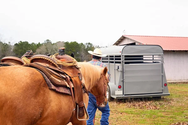 他的马从外地通往 horsetrailer 的男人牛仔 图库图片
