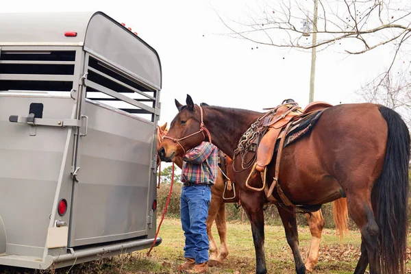 他的马从外地通往 horsetrailer 的男人牛仔 图库图片