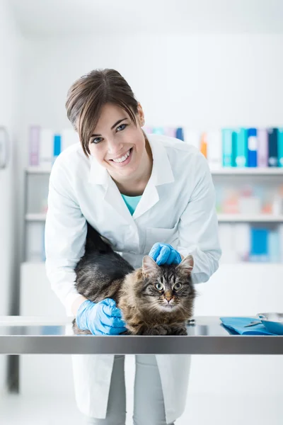 Lekarz weterynarii, badając kota na stolik manipulacyjny — Zdjęcie stockowe