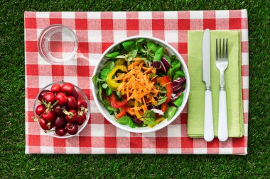 Taze sağlıklı salata ve tablo çim, piknik ve sağlıklı beslenme kavramı üzerinde ayarla