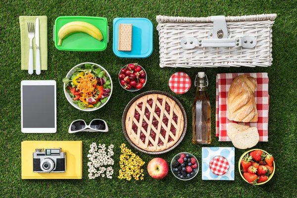 Picknick im Gras — Stockfoto