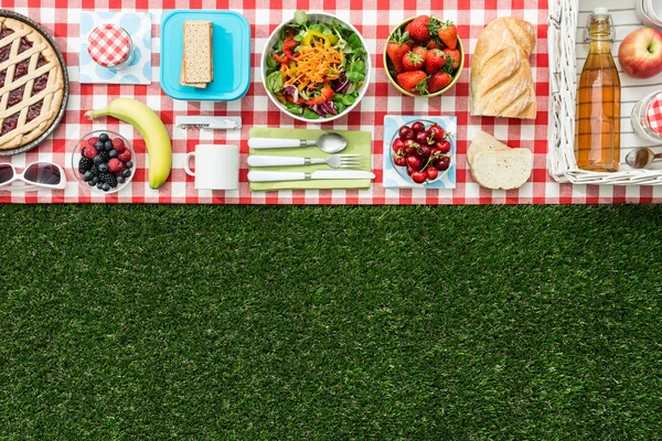 夏季野餐与签的桌布和健康食品的草地上 — 图库照片