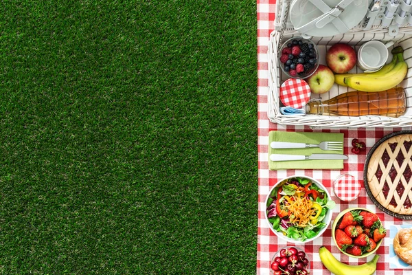 Piknik v parku — Stock fotografie