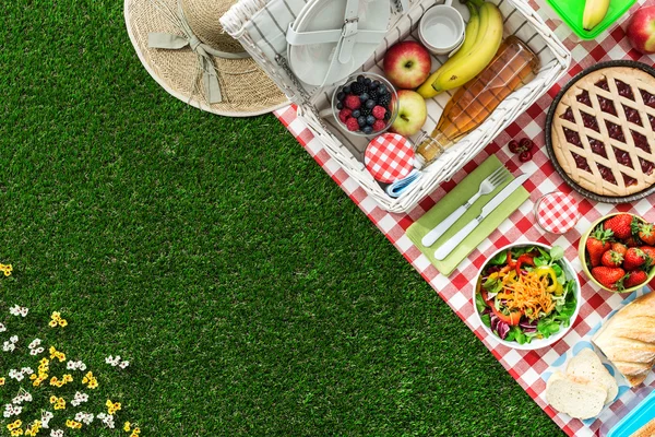 Picknick im Park — Stockfoto