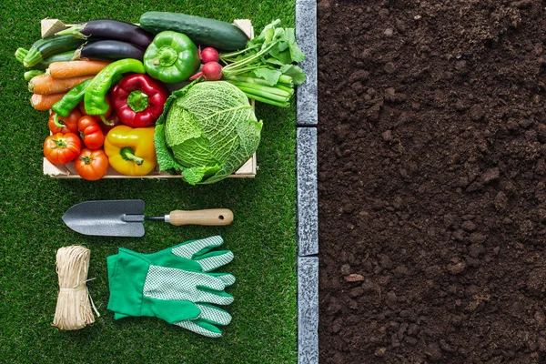 Outils de jardinage et sol fertile, concept d'alimentation saine et d'agriculture — Photo