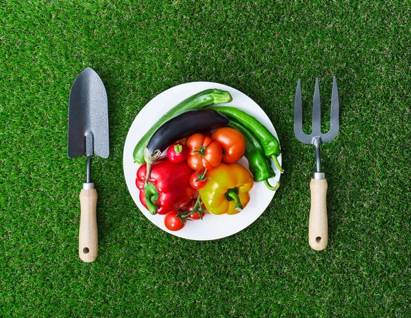 健康的な食事と園芸 — ストック写真