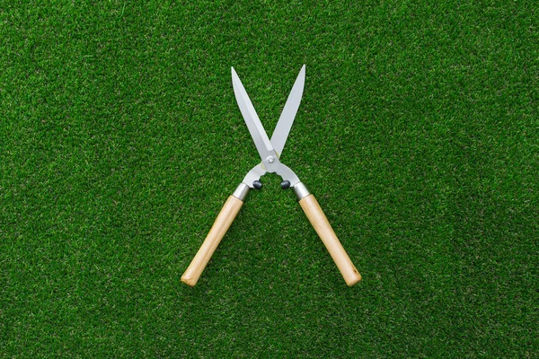 Pruning shears on the grass, hobby and gardening concept — Stock Photo, Image