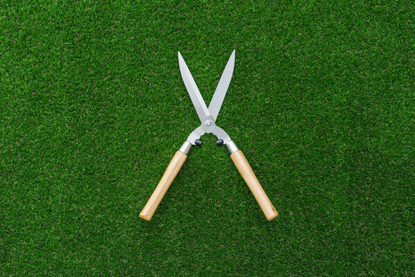 Pruning shears on the grass, hobby and gardening concept