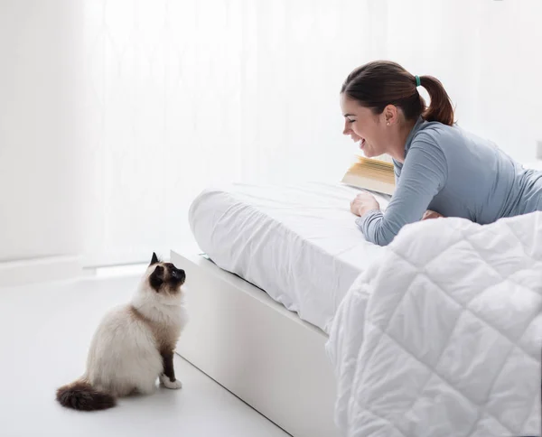 Прекрасний кіт у спальні — стокове фото