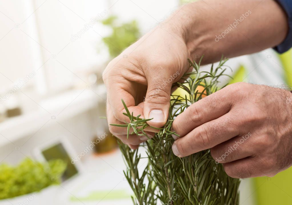 Cook picking homegrown rosemary