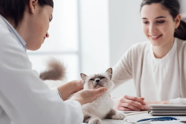 수 의사는 애완 동물을 방문 — 스톡 사진