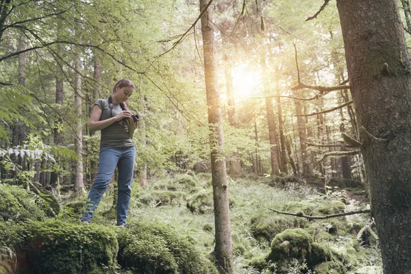 Photographer taking pictures in the forest — Stock Photo, Image