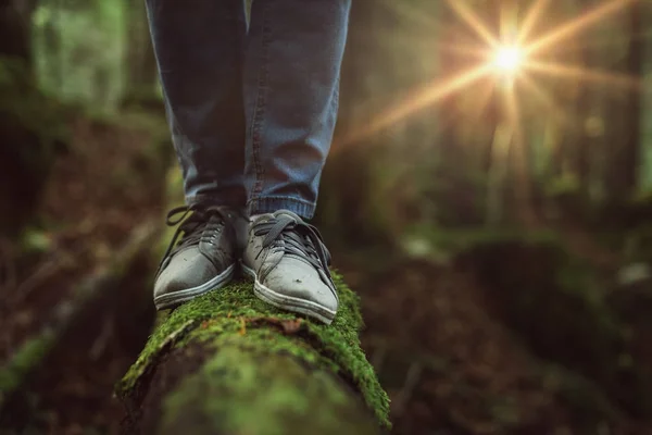 Frau spaziert auf Baumstamm im Wald — Stockfoto