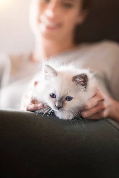 女性は彼女の猫を抱きしめる — ストック写真