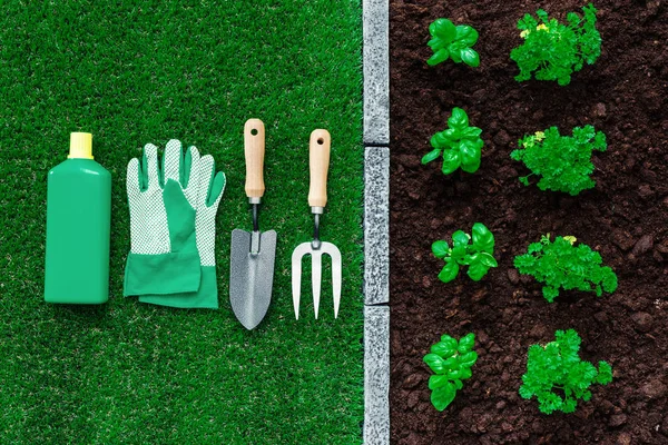 Horticultura y jardinería — Foto de Stock