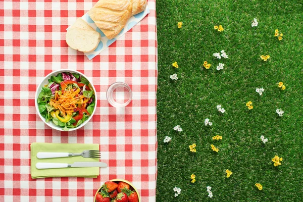 Picnic salad — Stock Photo, Image