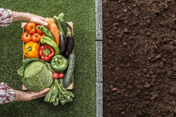 Produtos hortícolas frescos — Fotografia de Stock