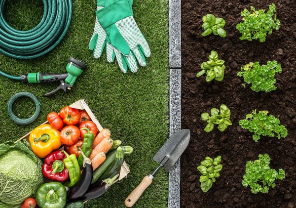 Bahçe ve gıda üretim — Stok fotoğraf