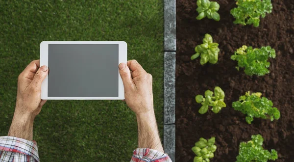 Landwirtschaft und Technologie — Stockfoto