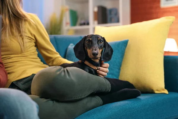 Frau Legt Sich Mit Ihrem Süßen Hund Haustieren Und Lifestylekonzept — Stockfoto