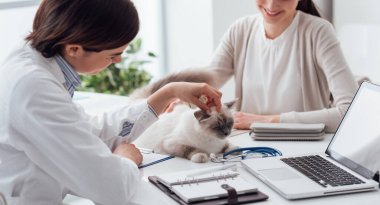 Veteriner masasında güzel bir kediyi ziyaret ediyor, hayvan sahibi gülümsüyor.