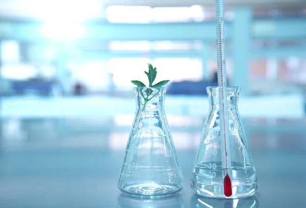 bitki bilim laboratuvar ile cam şişe içinde termometre