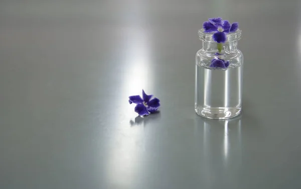 purple flower in science vial in the lab