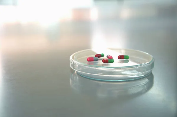 pills on petri dish in medical science laboratory