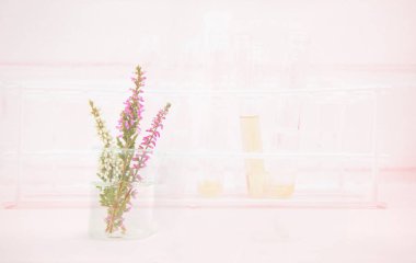 ölçek tüp arka plan ile pembe çiçek