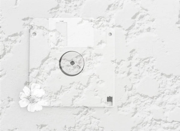 Disco floppy bianco retrò e fiore con muro di cemento grezzo — Foto Stock
