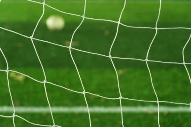 Beyazlı futbol kalesi, spor sahasında mavi yeşile boyanmış. 