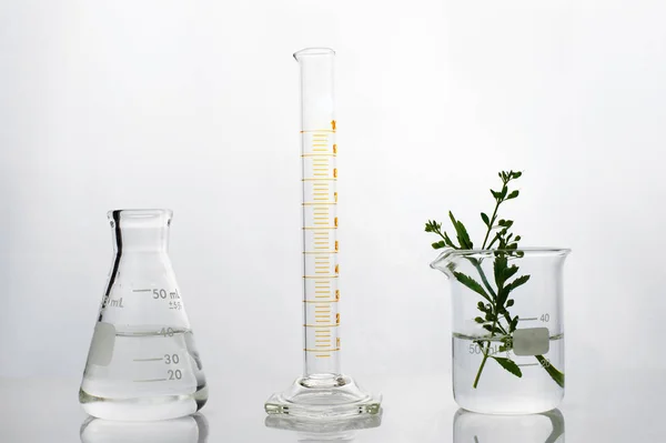 Flask cylinder beaker with green herbal medical science in white — 图库照片