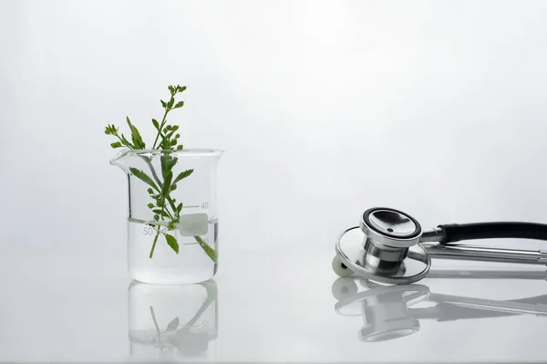 Stethoscope Nature Green Plant Beaker White Clinical Health Background — Stock Photo, Image