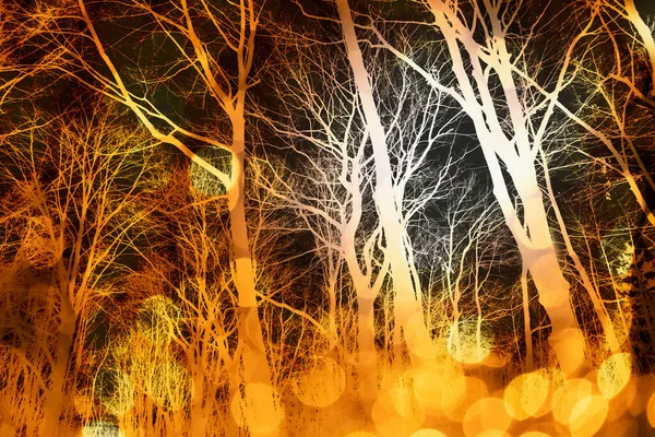Silhouette Des Zweigbaumwaldes Mit Goldenem Orangefarbenem Bokeh Licht Schwarzen Dunkelhintergrund — Stockfoto