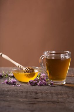 Thymus vulgaris-alternatif Tıpta kullanılan bitki