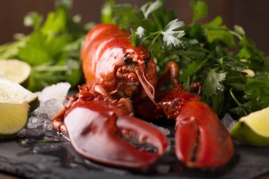 Bütün kırmızı ıstakoz