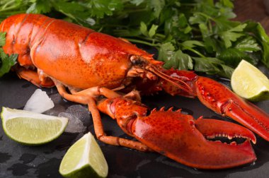 Bütün kırmızı ıstakoz