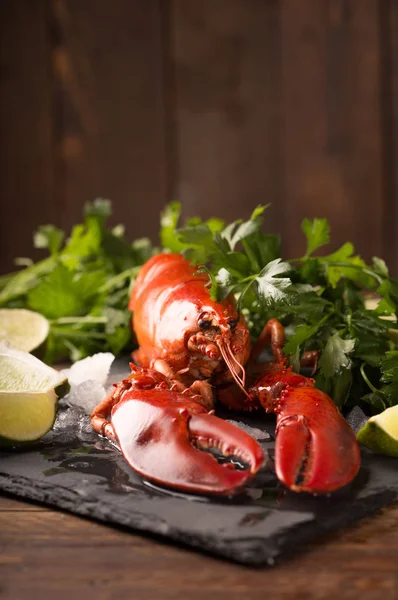 Whole red lobster — Stock Photo, Image