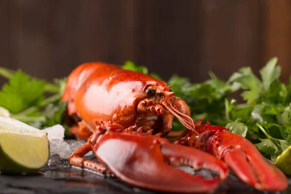 Whole red lobster — Stock Photo, Image